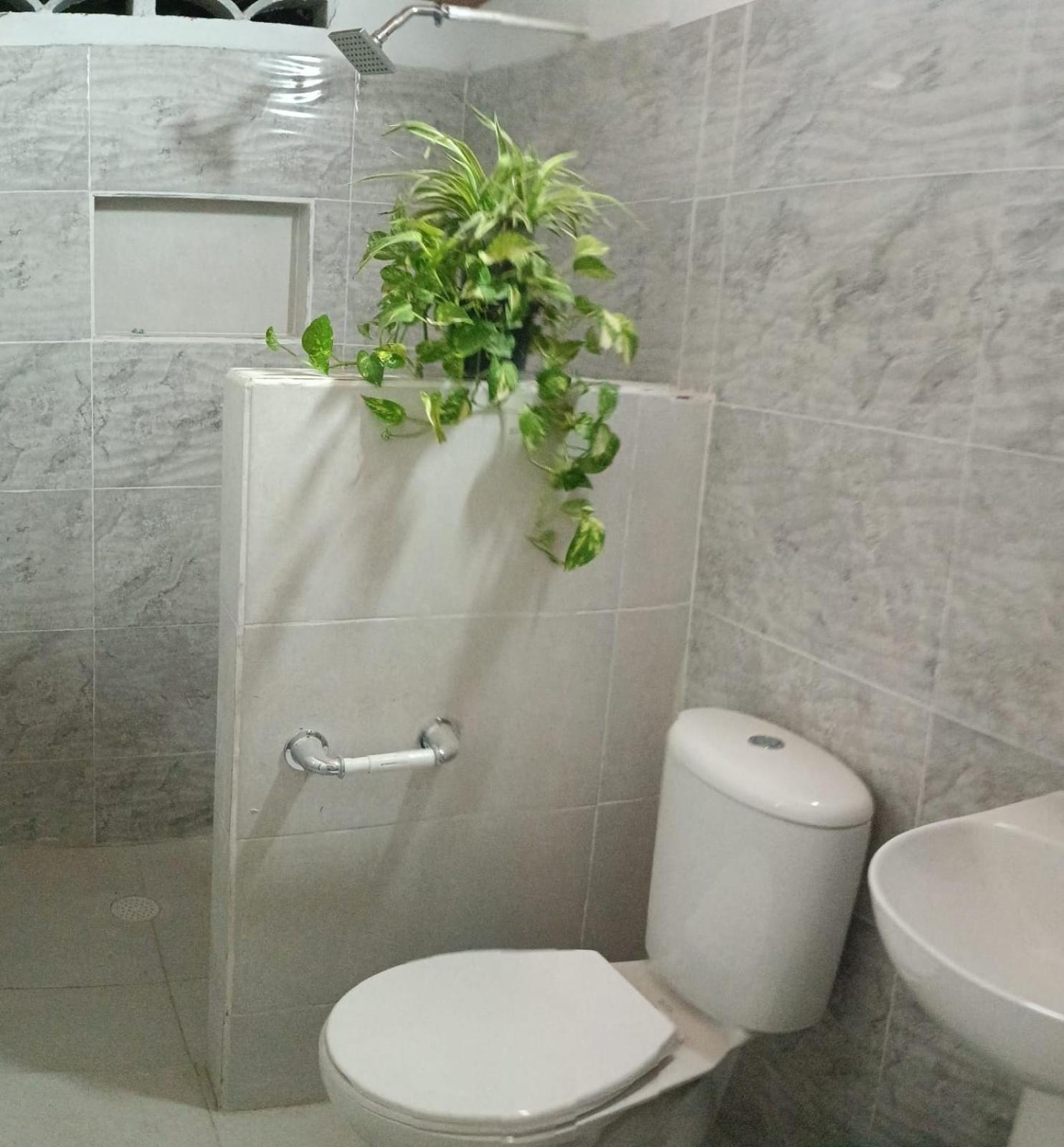 Bed and Breakfast Ortimar Толу Экстерьер фото